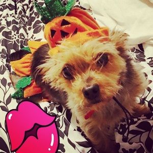 Meet your Posher, Wendy